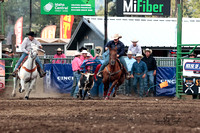 Steer Wrestling and Team Roping